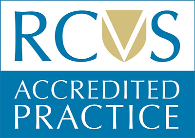 RCVS Accredited Logo RCVS Accredited Logo